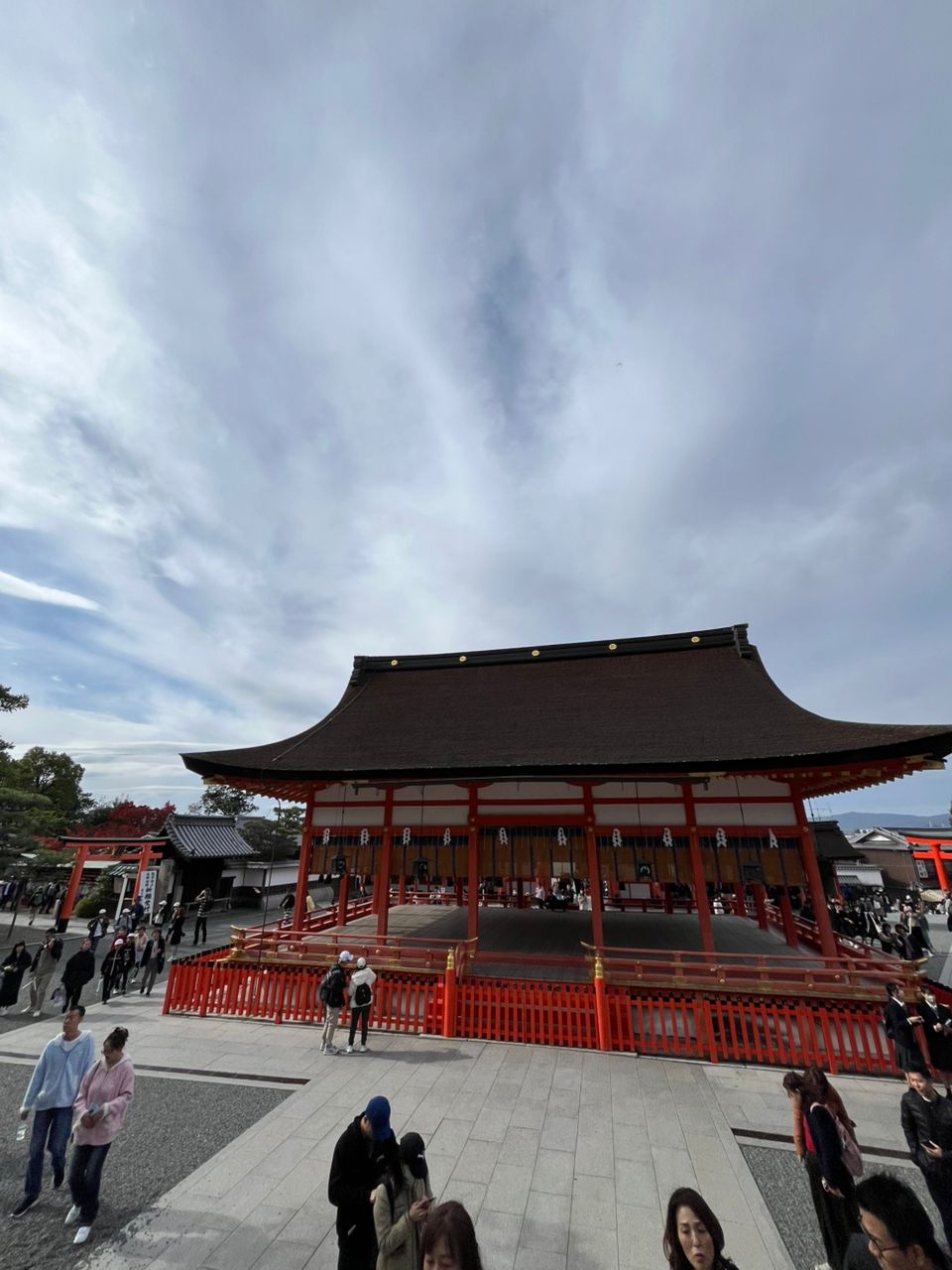 WhatsApp Image 2025-10-05 at 14.53.42_99808b9f