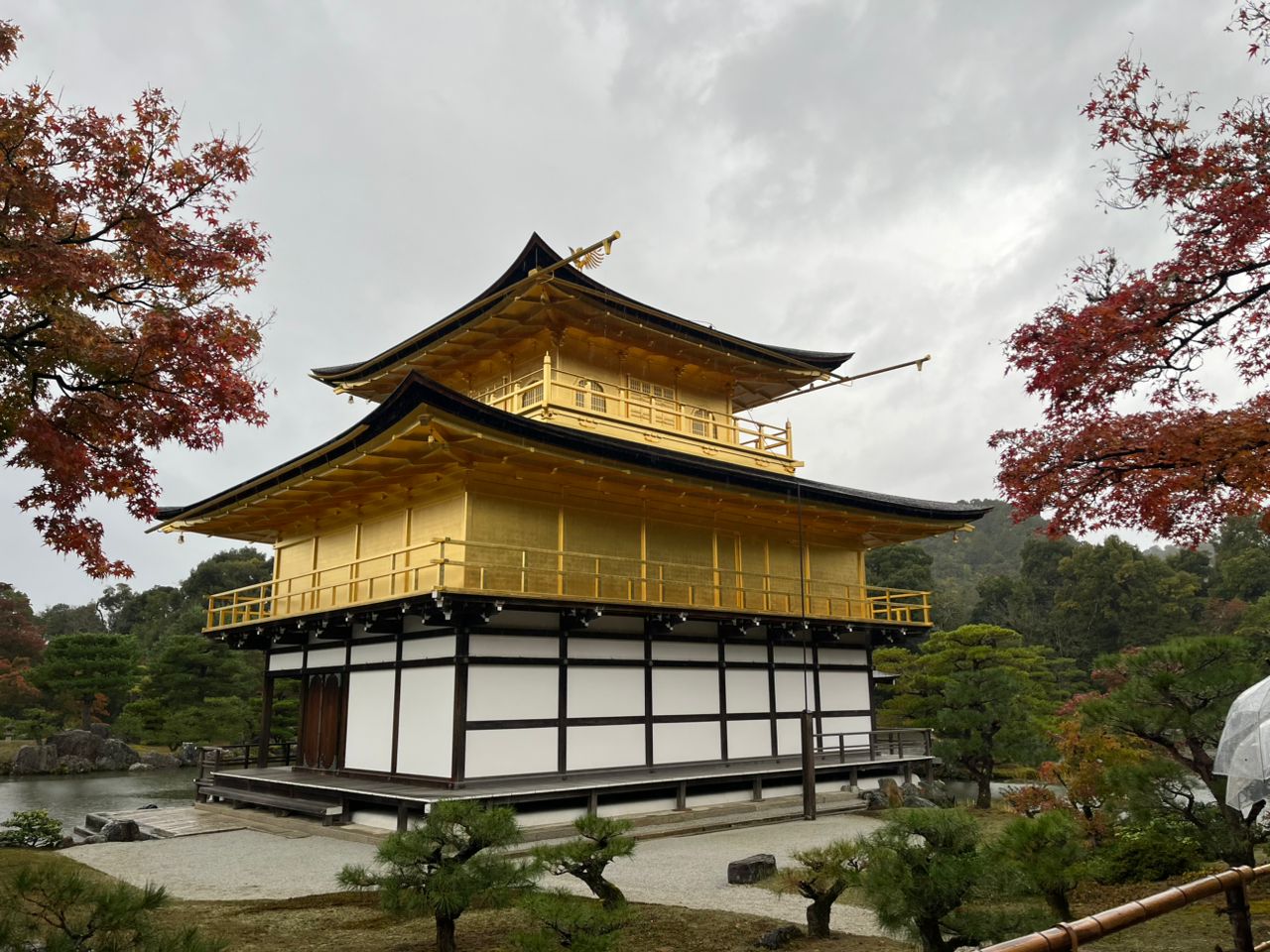 WhatsApp Image 2025-10-05 at 14.53.42_2acbfb59