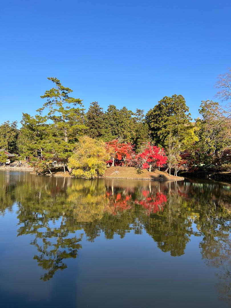 WhatsApp Image 2025-10-01 at 04.03.57_b8cc7e70